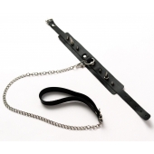 Черный ошейник с шипами и поводком - Crazy Handmade - купить с доставкой в Оренбурге