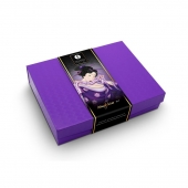 Подарочный набор Naughter Kit - Shunga - купить с доставкой в Оренбурге