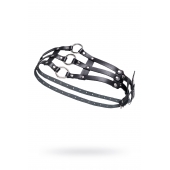 Черный кожаный пояс с кольцами - Pecado - купить с доставкой в Оренбурге