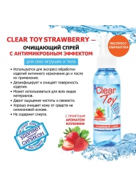 Очищающий спрей для игрушек CLEAR TOY Strawberry - 100 мл. - Биоритм - купить с доставкой в Оренбурге