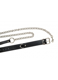 Черный ошейник с поводком Wild - Lola Games - купить с доставкой в Оренбурге