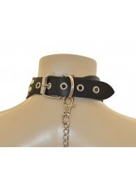 Ошейник  Веселый Роджер - Sitabella - купить с доставкой в Оренбурге