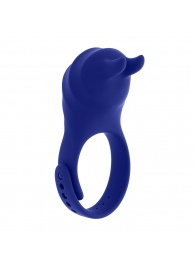 Синее эрекционное виброкольцо с клиторальной подушечкой и пультом ДУ Adjustable Fun Ring - Zero Tolerance - в Оренбурге купить с доставкой