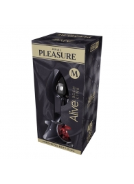 Серебристая анальная втулка Mini Metal Butt Plug Size M с красным кристаллом - Adrien Lastic