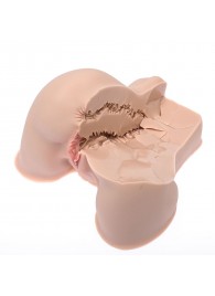 Мастурбатор-полуторс Naked Factory Kate - Naked Factory - в Оренбурге купить с доставкой