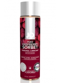 Лубрикант на водной основе с ароматом малины JO Flavored Raspberry Sorbet - 120 мл. - System JO - купить с доставкой в Оренбурге