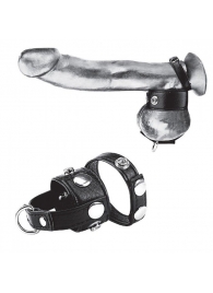 Утяжка для мошонки и пениса Cock Ring With 1  Ball Stretcher And Optional Weight Ring - BlueLine - купить с доставкой в Оренбурге