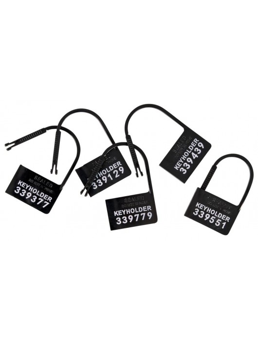 Набор для мужского пояса верности Cock Cage Set - Orion - купить с доставкой в Оренбурге