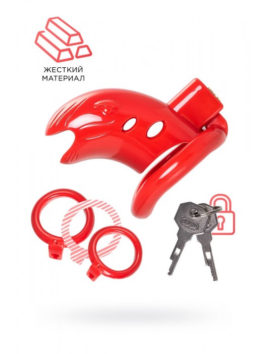 Красный мужской пояс верности из пластика - ToyFa - купить с доставкой в Оренбурге