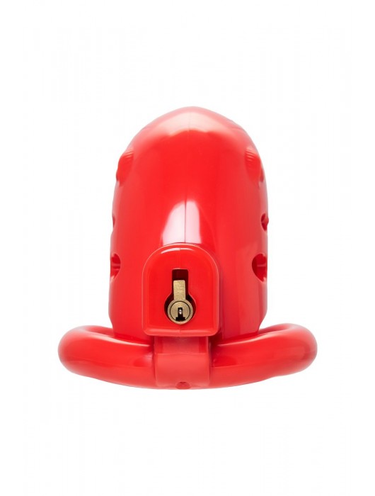 Красный мужской пояс верности из пластика - ToyFa - купить с доставкой в Оренбурге