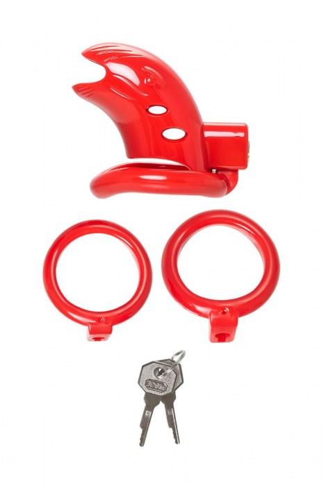 Красный мужской пояс верности из пластика - ToyFa - купить с доставкой в Оренбурге