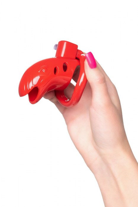 Красный мужской пояс верности из пластика - ToyFa - купить с доставкой в Оренбурге