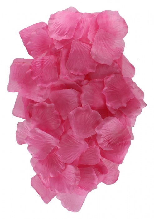 Эротический набор FANTASTIC PURPLE SEX TOY KIT - Toy Joy - купить с доставкой в Оренбурге