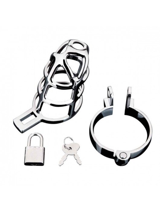 Серебристая металлическая клетка для члена с замком Enslave Cock Cage - BlueLine - купить с доставкой в Оренбурге