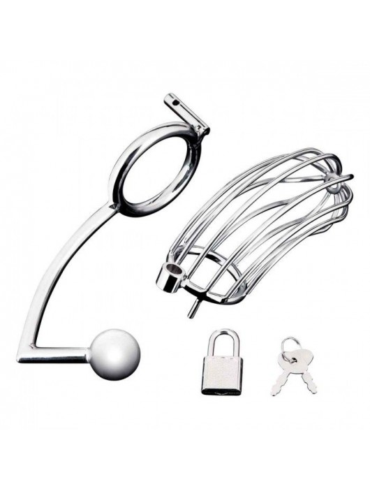 Серебристая металлическая клетка с анальным стимулятором Cock Cage - BlueLine - купить с доставкой в Оренбурге