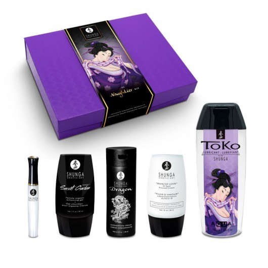 Подарочный набор Naughter Kit - Shunga - купить с доставкой в Оренбурге