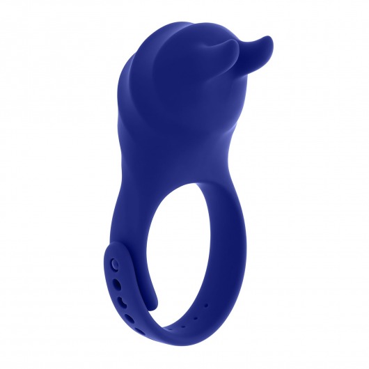 Синее эрекционное виброкольцо с клиторальной подушечкой и пультом ДУ Adjustable Fun Ring - Zero Tolerance - в Оренбурге купить с доставкой