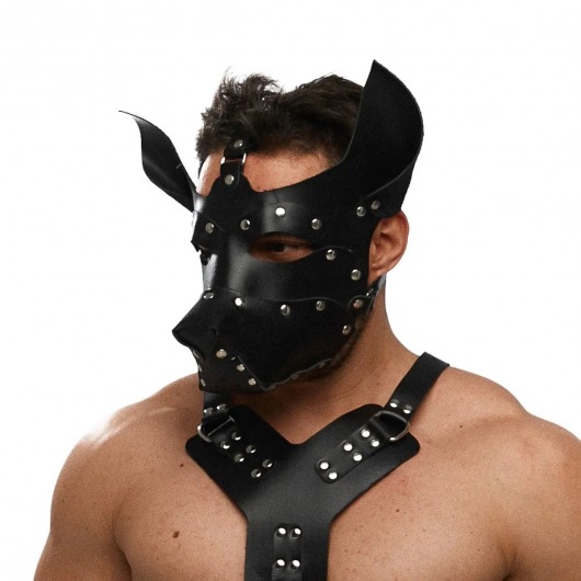 Черная кожаная маска «Собака» - Crazy Handmade - купить с доставкой в Оренбурге