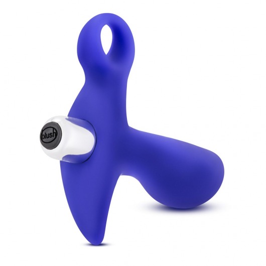 Синий стимулятор простаты с ручкой-кольцом Performance Prostimulator 02 - Blush Novelties - в Оренбурге купить с доставкой