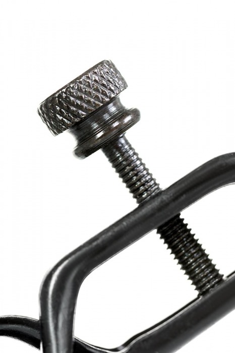 Черно-золотистые зажимы для сосков TOYFA Theatre - ToyFa - купить с доставкой в Оренбурге